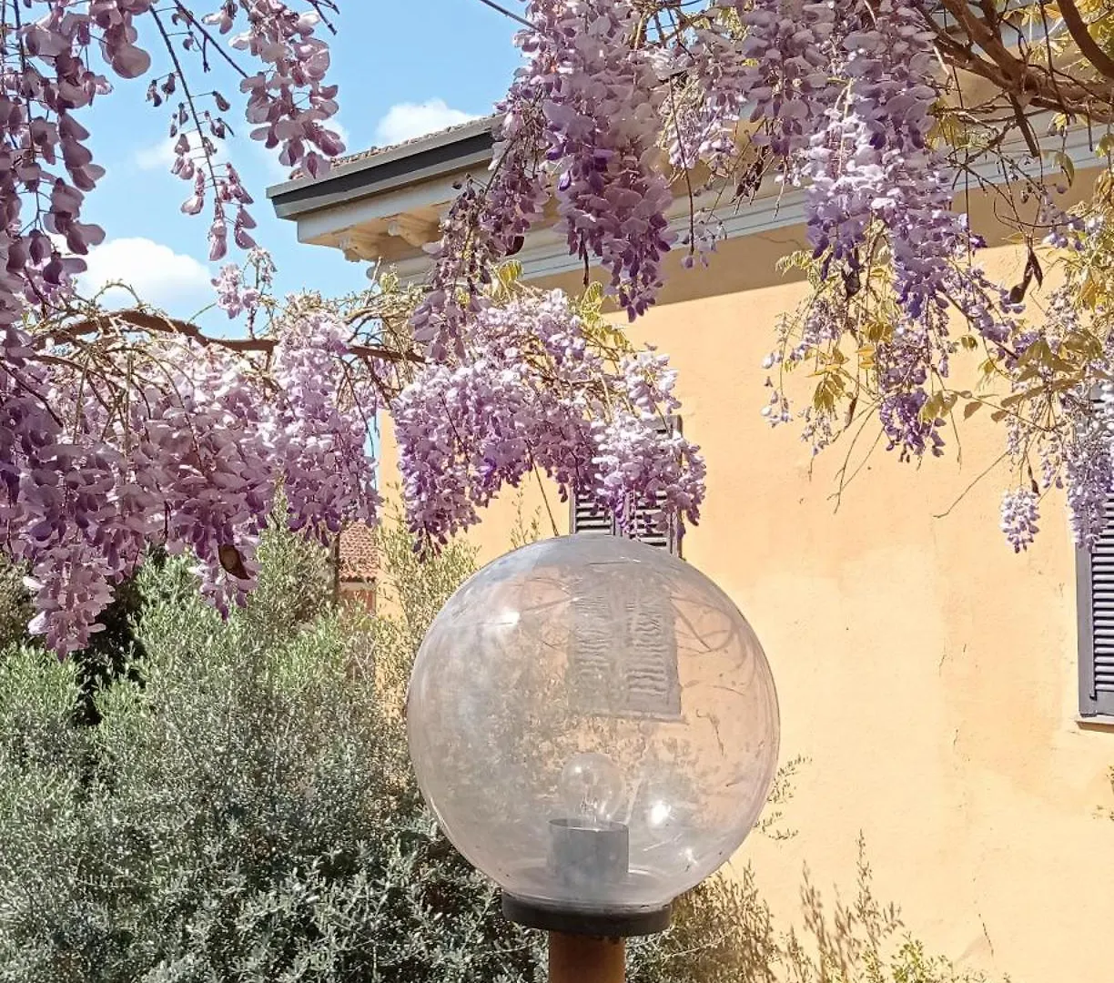 Alina Villa Montecatini Terme